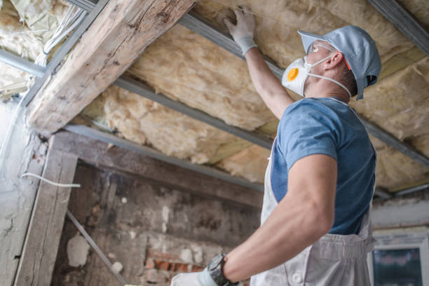 Professional Insulation Contractor in ID