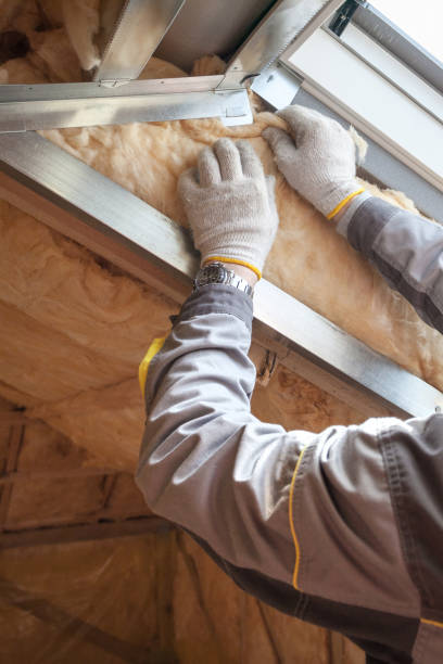 Best Residential Insulation in Avimor, ID